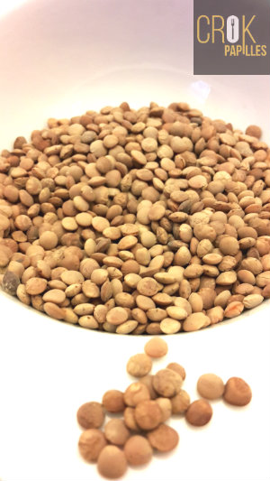 Lentilles corail du Tarn - AB - 500 g