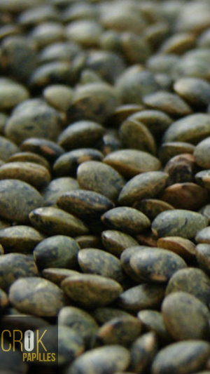 Lentilles vertes du Tarn - AB - 500 g